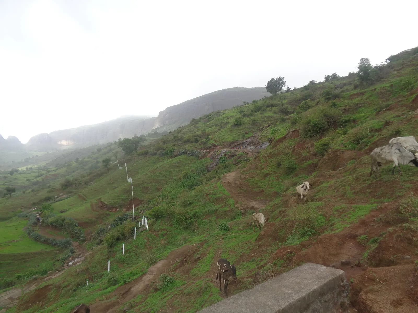 Anjaneri hill near Trimbakeshwar